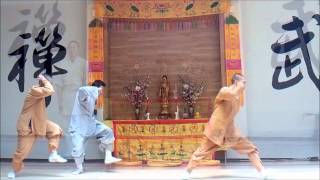 shaolin interno monjes 36 generacionwmv [upl. by Peedus]