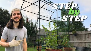 We LOVE This Trellis From Amazon and Here’s How to Build It [upl. by Nedlog]