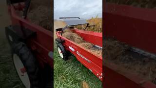 Spreading with a new CM50 manure spreader [upl. by Sekofski635]