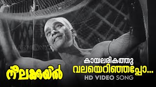 Kaayalarikathu Valayerinjappo  HD Video Song  KRaghavan  PBhaskaran  Neelakuyil1954 [upl. by Rheinlander]