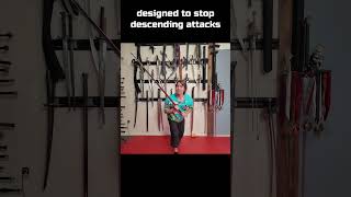 CRAZY Sword Trick to Stop getting bonked Kron sword martialarts funny [upl. by Alderman]