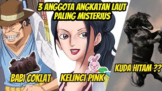 3 ANGGOTA MARINE PALING MISTERIUS  PERNAH BERSAING DENGAN RYOKUGYU REBUTKAN POSISI ADMIRAL [upl. by Fari]