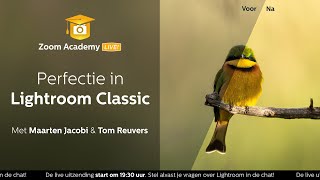 Masterclass Perfectie in Lightroom Classic met Tom Reuvers  Zoomnl [upl. by Jerold]