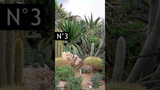 10 Idées de Jardin EXOTIQUE 🌴😍 [upl. by Eniaj]