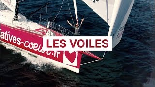 Découvrez les voiles dun bateau de course [upl. by Nainatrad]