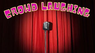 Crowd Laughing Sound Effects  Comedy Club Laughter [upl. by Lem989]