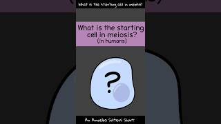 Starting Cell in Meiosis  Amoeba Sisters Shorts [upl. by Pennebaker936]