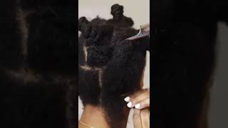 HOW TO Mini Twists on 4C Natural Hair part 2 [upl. by Chappell]