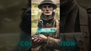 Shocking World War One facts fcats ww1 [upl. by Lucilia131]