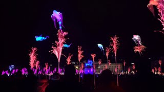 Fête des lumières 2019  rétrospective [upl. by Ioyal787]