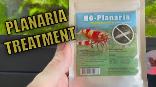 PLANARIA WORMS IN AQUARIUM  NOPlanaria WORKS [upl. by Nagaem327]