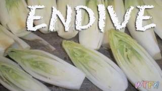 What Is Endive  Braised Endive Recipe [upl. by Tonina899]