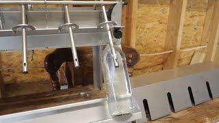 Small Winery Tries Affordable Wine Bottle Filler [upl. by Jewett548]