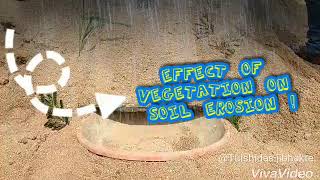 Importance of vegetation cover to reduce soil erosionModel Experiment [upl. by Dirfliw930]