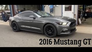 2016 Mustang GT Rear muffler delete [upl. by Morey]