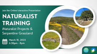 Naturalist Training  Serpentine Grasslands and iNaturalist Projects [upl. by Navinod]