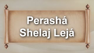 Perashá Shelaj Lejá 5784  Rab Netanel Moshé Duer  Bajurim [upl. by Neerahs981]