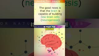 Boost Your Brain Health Discover Neurogenesis Secrets [upl. by Noffihc]