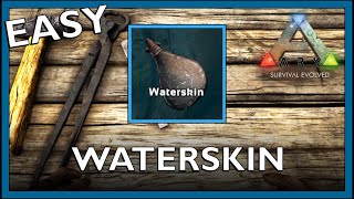 How To Craft A Waterskin In Ark Survival Evolved [upl. by Opportuna]