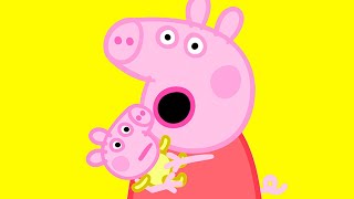 Peppa Pig and the Baby Pig [upl. by Tirreg799]