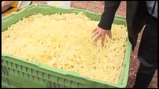 Il tente le record du monde du plus grand cornet de frites [upl. by Griffiths266]