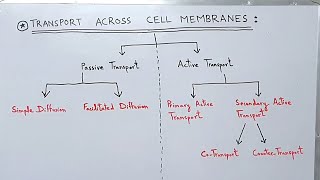 Transport across the Cell Membrane  Plasma Membrane  Active and Passive Transport [upl. by Buddy]