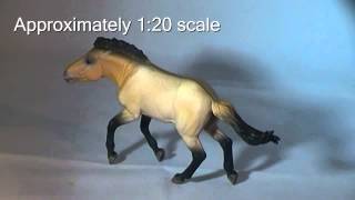 A Review of the Model of Przewalskis Horse Collecta by Everything Dinosaur [upl. by Grogan399]