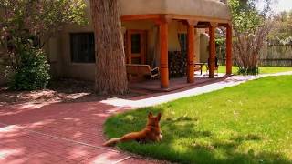 Taos real estate  homes  properties for sale 413 Camino de la Placita Taos NM 87571 [upl. by Pergrim]