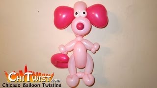 Valentines Day Dog Balloon  ChiTwist Chicago Balloon Twisting [upl. by Houston]