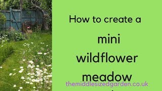 How to create a mini meadow in your garden [upl. by Worth]