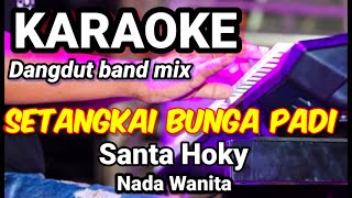 SETANGKAI BUNGA PADI  Santa Hoky  Karaoke nada wanita  Lirik [upl. by Adalard]