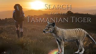 Does the Tasmanian Tiger Thylacine still exist at the Spero River Tasmania [upl. by Moina]