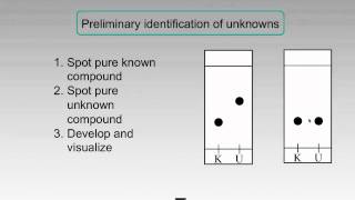 Thin Layer Chromatography  Applications [upl. by Pelage]