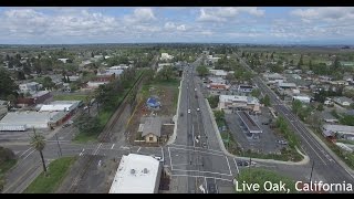 Live Oak California [upl. by Rhett504]