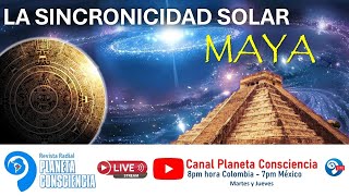 La Sincronicidad Solar MAYA [upl. by Herwick]