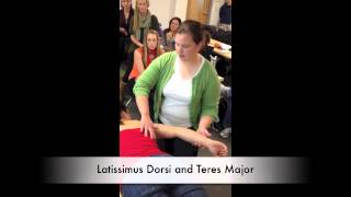 Manual Muscle Test for Latissimus Dorsi and Teres Major [upl. by Paryavi995]