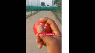 how to Ball doosra in cricket offspinbowling trending cricketlover shorts viral video india [upl. by Nadiya]