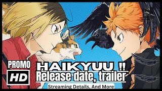 Haikyuu movie Release date trailer streaming details and more [upl. by Halullat182]