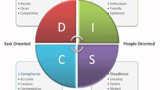 DISC Assessment [upl. by Eimrej]