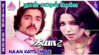 Naan Kattil Mele Kanden Song Download [upl. by Sidnak]