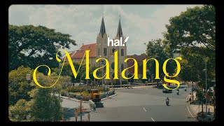 Hal  Malang Official Lyric Video [upl. by Pestana698]