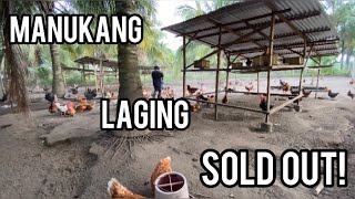 MANUKANG LAGING SOLD OUT [upl. by Ahsik38]