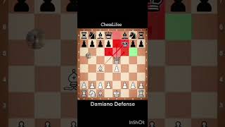 Damiano defence by chess master ♟️ [upl. by Sacha]