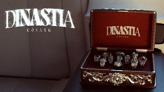 CoSang  Dinastia Visual Video [upl. by Atte]