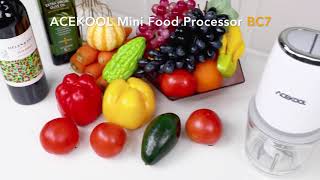 ACEKOOL Blender BC7 600mL Mini Food Processor for Vegetables Meat Fruits [upl. by Dorina504]