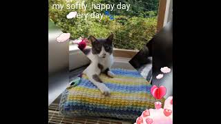 Mój miękki dzień każdy dzień🐾My softly dayevery day🐾 crochet blanket cat dogclothes [upl. by Kirshbaum451]