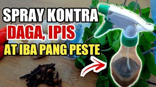 MABISANG PANGONTRA SA DAGA IPIS AT IBA PANG PESTE SA BAHAY [upl. by Florencia]