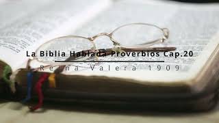 La Biblia Hablada Proverbios Cap 20 [upl. by Aivlys903]