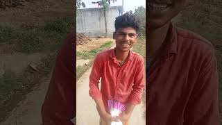 Kabutarshortvideopigeon bollywood hindisong song music bollywoodsongs kabutar pigeon 👿💯💯 [upl. by Melvina409]