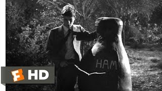 To Kill a Mockingbird 910 Movie CLIP  Boo is a Hero 1962 HD [upl. by Theodora616]